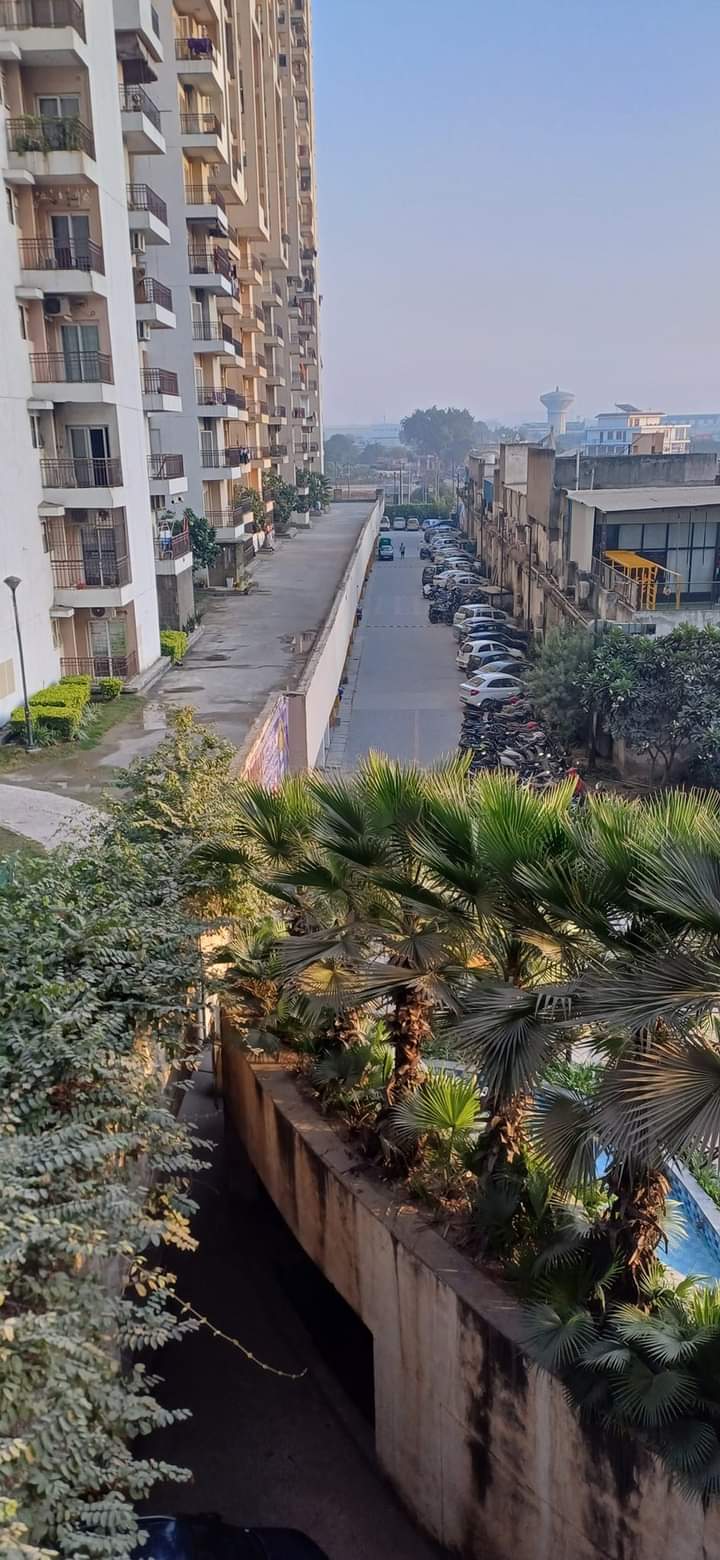 3 BHK Apartment For Sale in Ajnara Le Garden