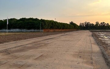 Plot For Sale in Hisar Cantt