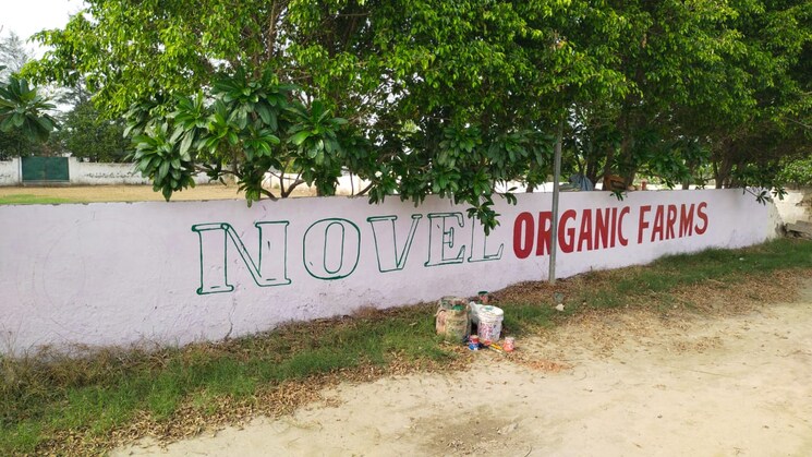 Exterior View, tappal  100 Sq.Yd. Plot In Tappal Aligarh 7893020