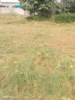 265 Sq.Yd. Plot in Omaxe New Chandigarh
