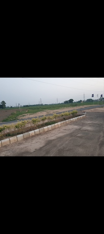 Plot For Resale in Hisar Cantt Hisar  7893291