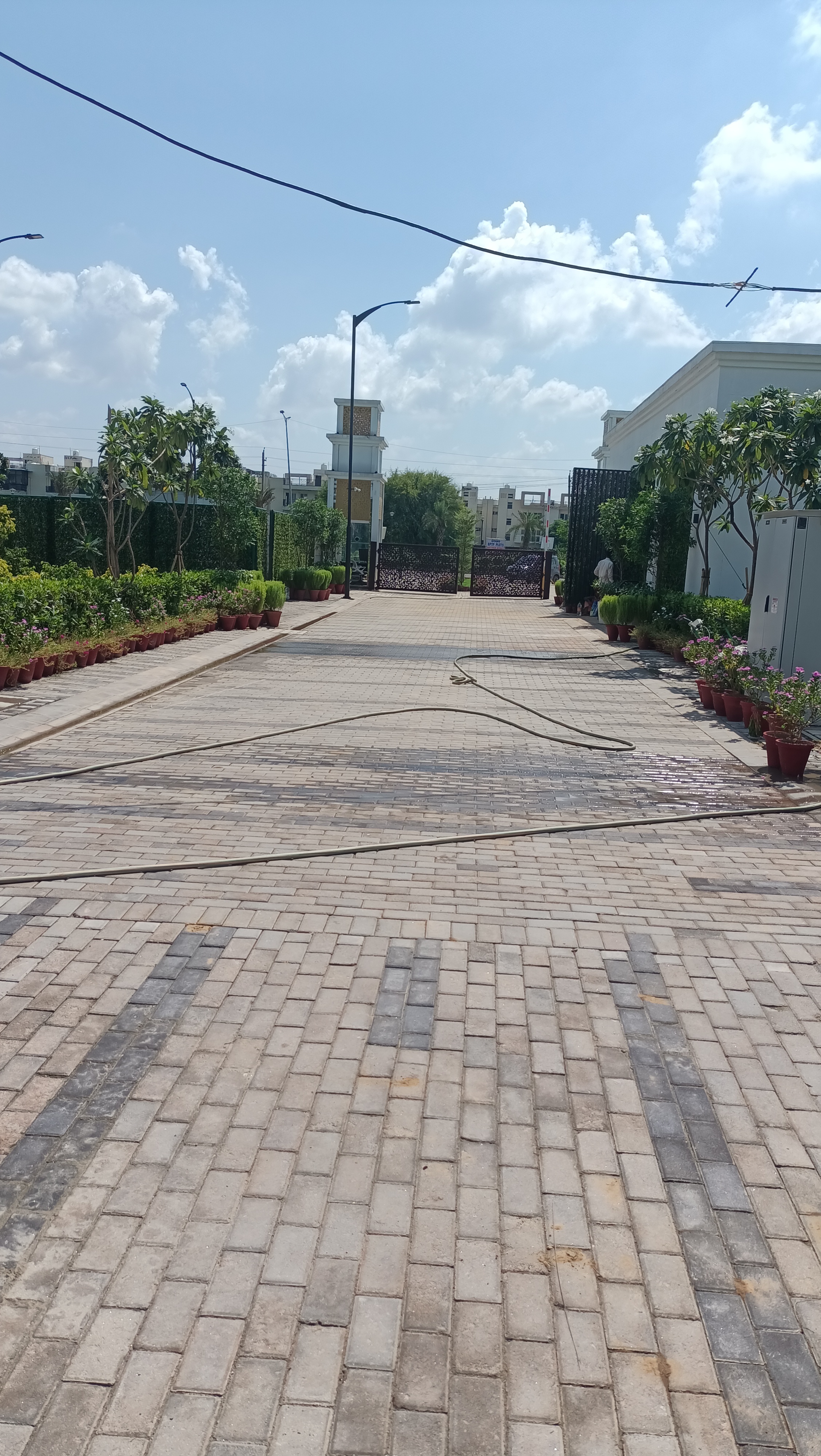 3 BHK Builder Floor For Sale in BPTP District Phase 2