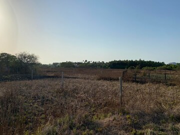 Plot Area in  Plot at Alibag – for Sale