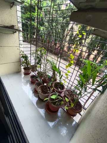 Balcony in 1 BHK Apartment at SSB Ashok Nagar, Balkum Pada – for Rent
