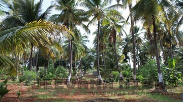  Plot – Garden View at Yelahanka - for Sale