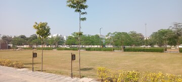  Plot For Sale in Sector 98