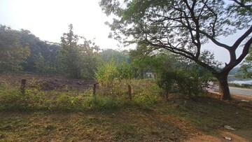 Plot Area in  Plot at Alibag – for Sale