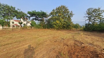 Plot Area in  Plot at Alibag – for Sale