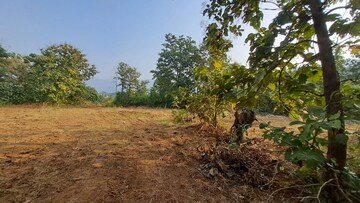 Plot Area in  Plot at Alibag – for Sale