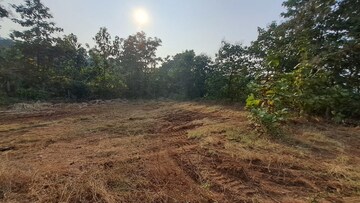 Plot Area in  Plot at Alibag – for Sale