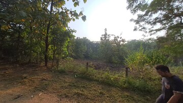Plot Area in  Plot at Alibag – for Sale