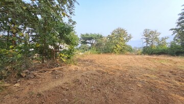 Plot Area in  Plot at Alibag – for Sale