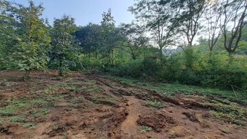 Plot Area in  Plot at Alibag – for Sale