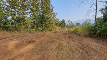 Plot Area in  Plot at Alibag – for Sale