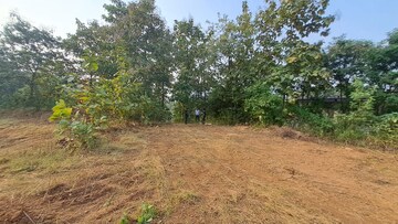 Plot Area in  Plot at Alibag – for Sale