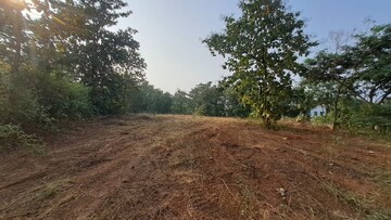 Plot Area in  Plot at Alibag – for Sale