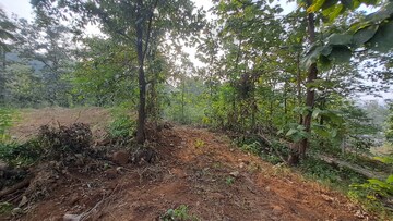   Plot at Alibag – for Sale