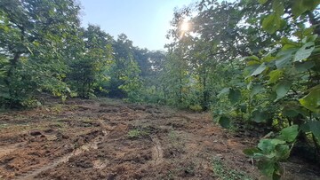 Plot Area in  Plot at Alibag – for Sale