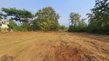 Plot Area in  Plot at Alibag – for Sale