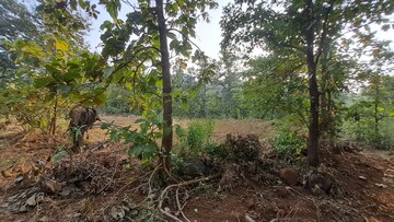 Plot Area in  Plot at Alibag – for Sale