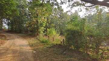   Plot at Alibag – for Sale