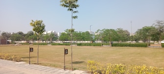 Plot For Resale in Sector 98 Faridabad  7894168