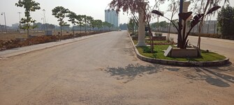 Plot For Resale in Sector 98 Faridabad  7894168