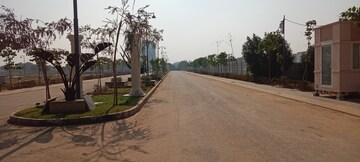 Plot Area in  Plot at Mansha Oaks, Sector 98 – for Sale
