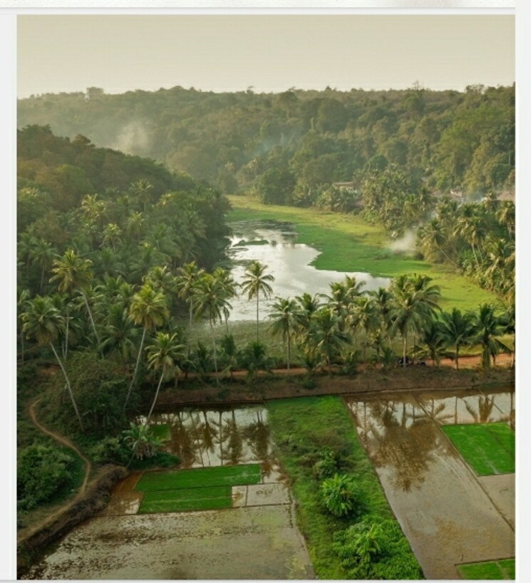 Garden, mvr-casa-aurea 4 Bedroom 3052 Sq.Ft. Villa In Siolim Goa 7894446