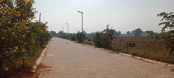  Plot For Sale in Sector 98