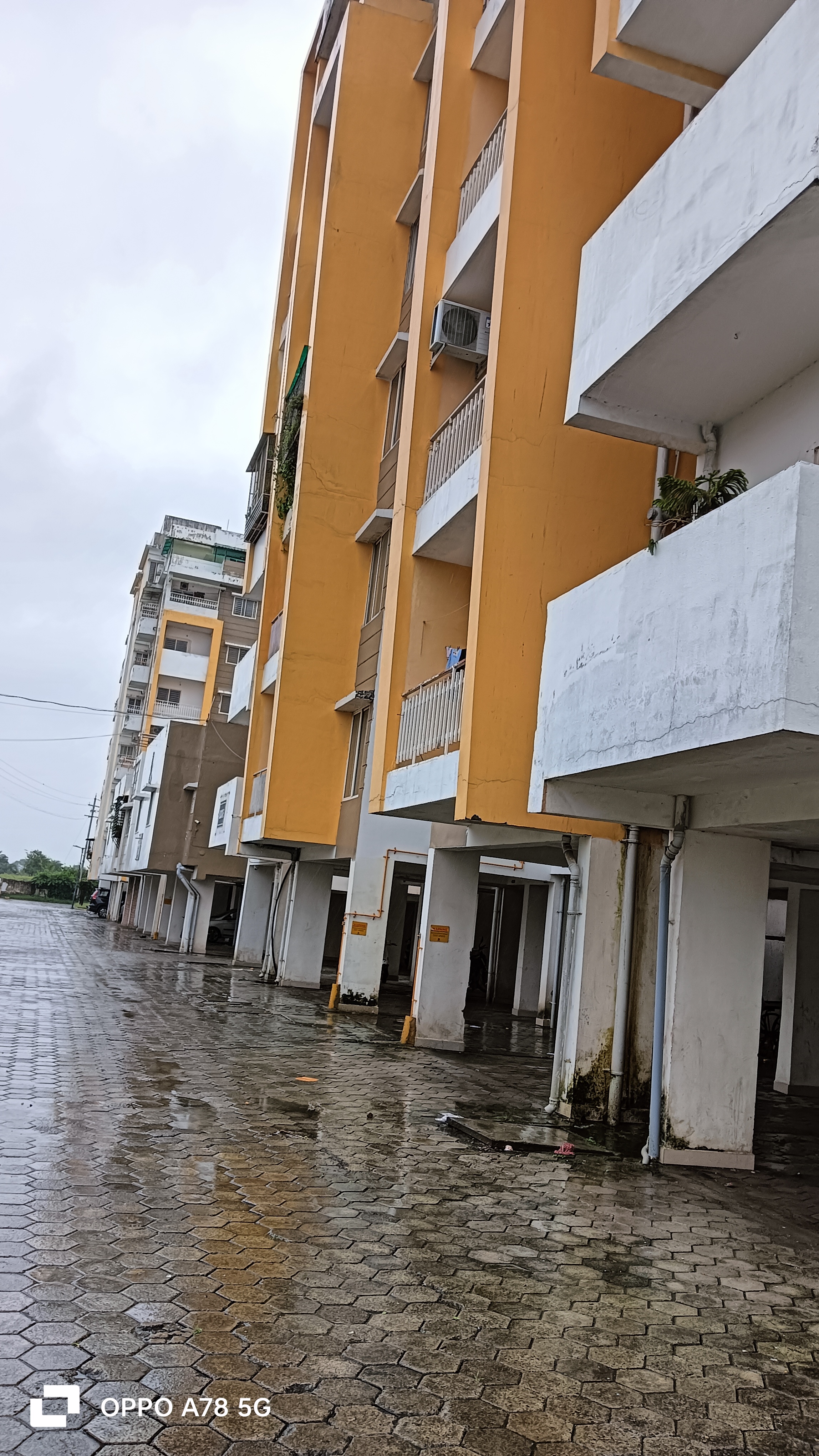 2 BHK Apartment For Sale in Signature 360