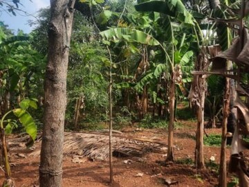 Plot Area in  Plot at Urakam – for Sale
