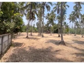 Plot For Resale in Guruvayoor Thrissur  7896333