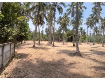 Plot For Resale in Guruvayoor Thrissur  7896333