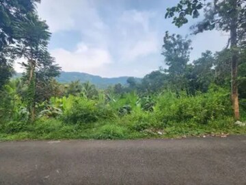 Plot For Resale in Pattikkad Thrissur  7896796