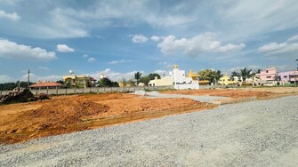 Plot For Resale in Green Woods Plots Chikkasandra Bangalore  7897235