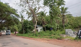 Plot For Resale in Chalad Kannur  7897304