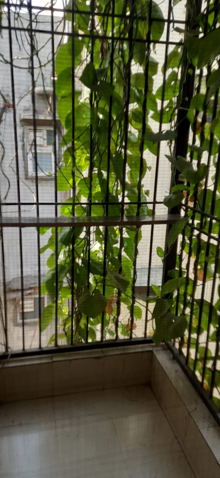 Master Bedroom, south extension i 3 Bedroom 200 Sq.Yd. Builder Floor In South Extension I Delhi 7897447