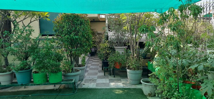 Garden, south extension i 3 Bedroom 200 Sq.Yd. Builder Floor In South Extension I Delhi 7897447