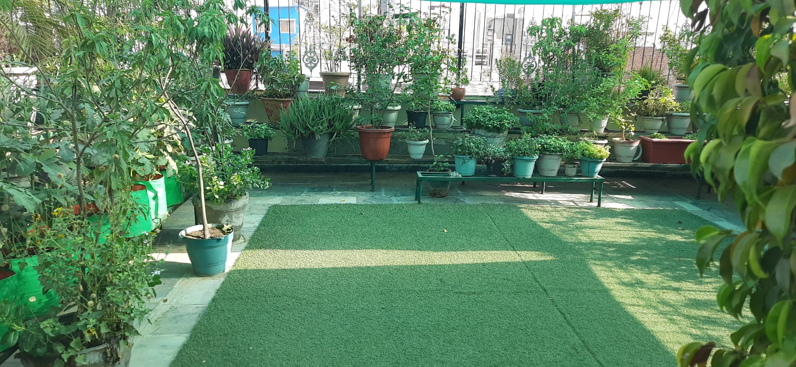 3 BHK Builder Floor For Sale in South Extension I