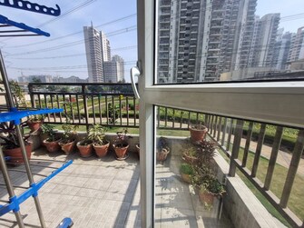 3 BHK Apartment For Rent in Adani Oyster Arcade Sector 102 Gurgaon  7897674