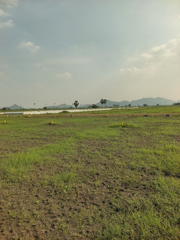 Plot For Resale in Nallapadu Guntur  7897670