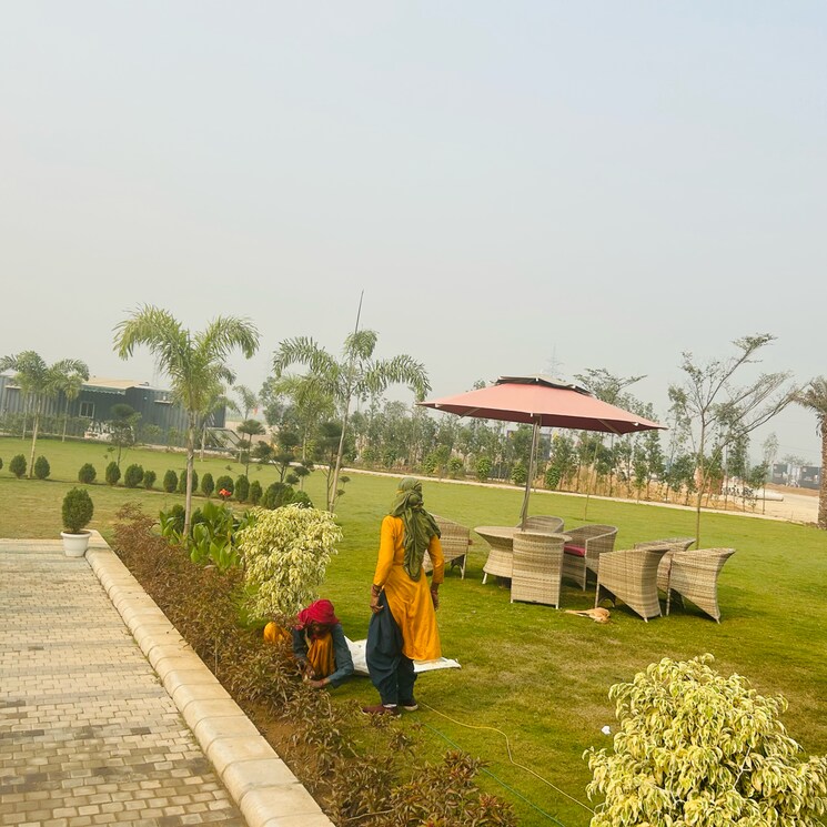 Garden, meerut cantt  200 Sq.Yd. Plot In Meerut Cantt Meerut 7897788
