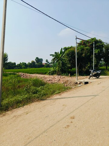Plot Area in  Plot at Bihta – for Sale