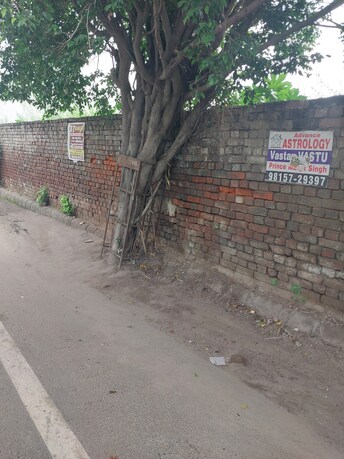 Plot For Resale in Shaheed Bhagat Singh Nagar Ludhiana  7897981