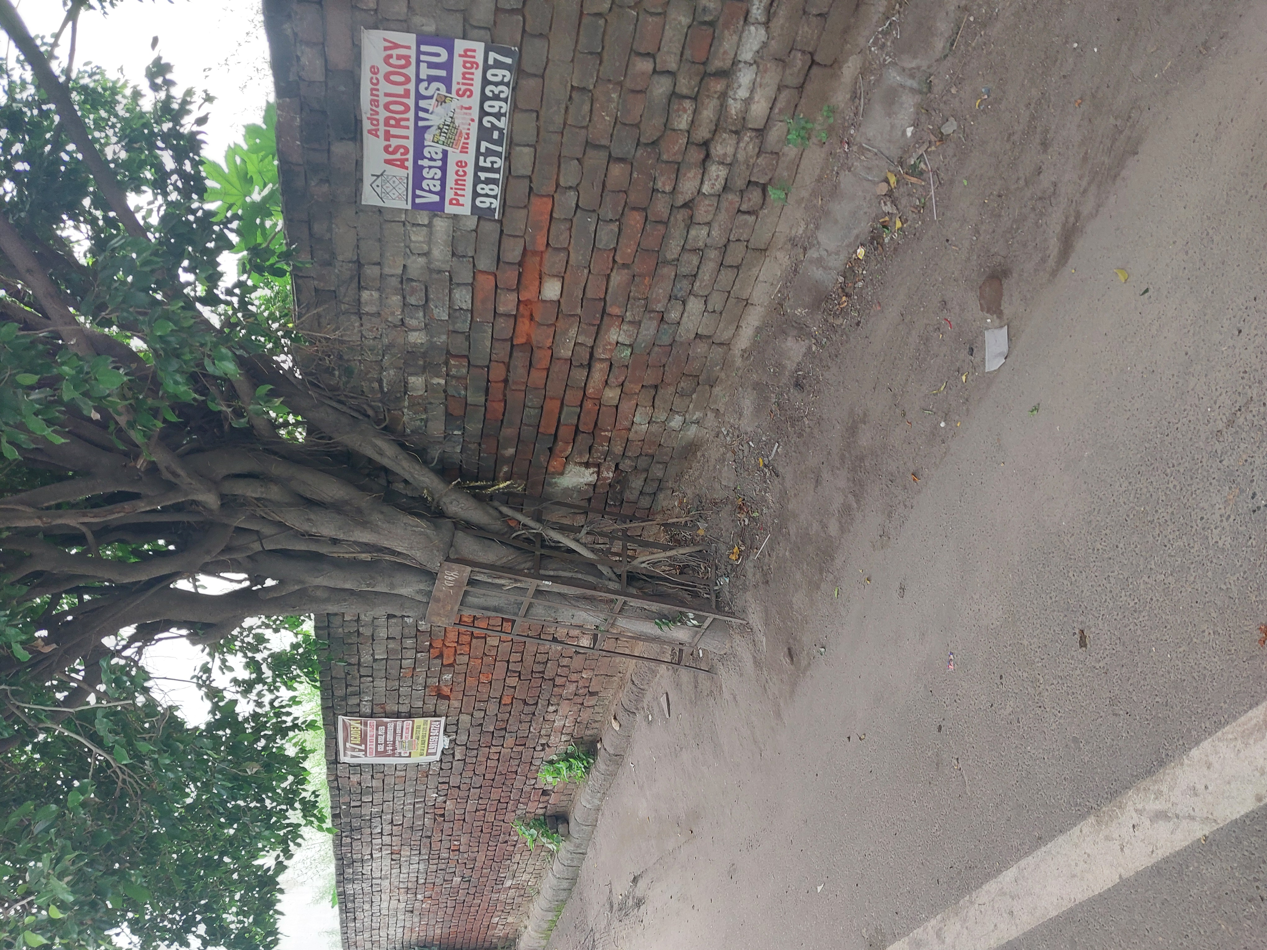 Plot For Sale in Shaheed Bhagat Singh Nagar