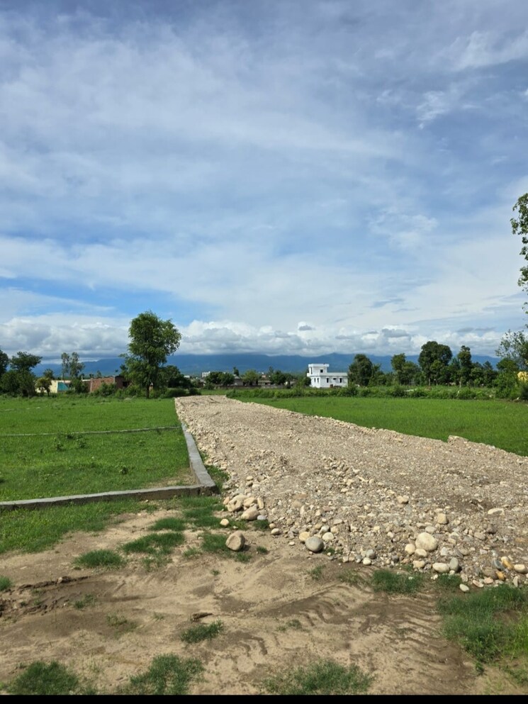 undefined, shimla bypass road  150 Sq.Yd. Plot In Shimla Bypass Road Dehradun 7897984