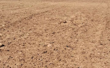 Plot For Sale in Bibinagar