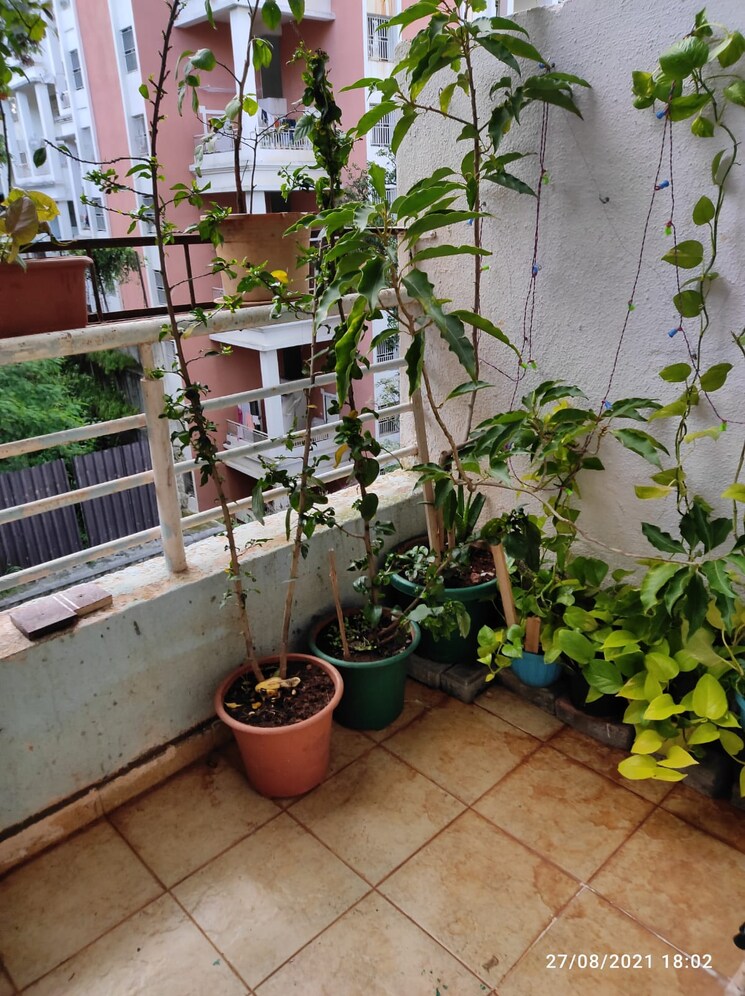 Balcony, eisha-erica 2 Bedroom 950 Sq.Ft. Apartment In Dhayari Pune 7898044