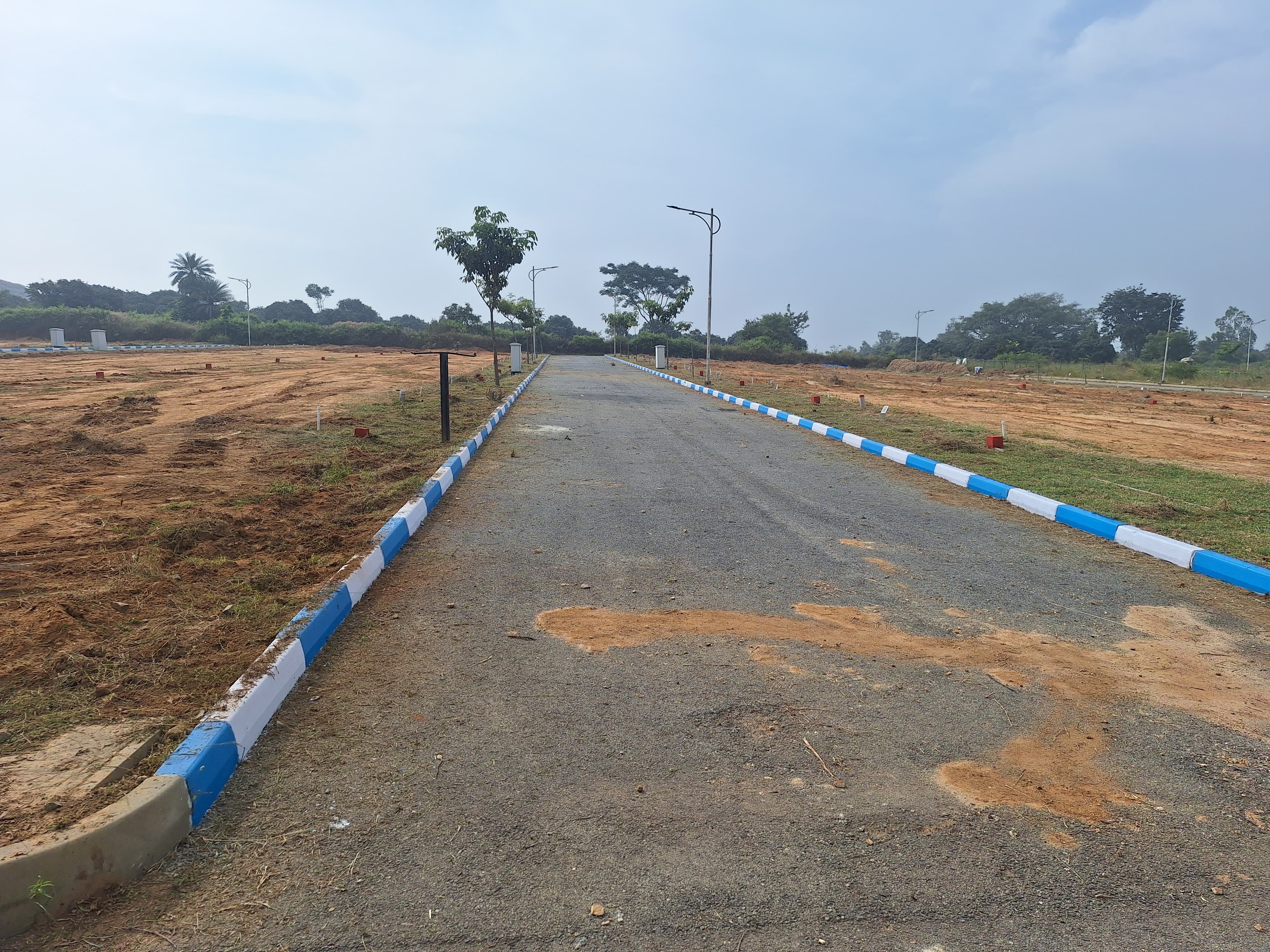 Plot For Sale in Dodda Aalada Mara Road